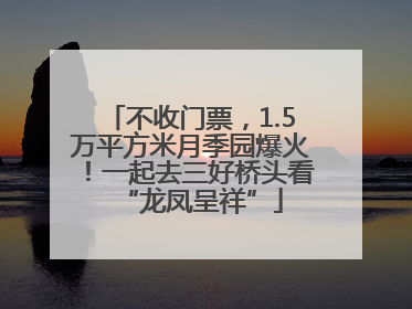 不收门票，1.5万平方米月季园爆火！一起去三好桥头看“龙凤呈祥”