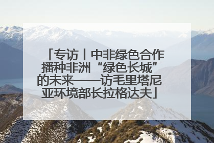 专访丨中非绿色合作播种非洲“绿色长城”的未来——访毛里塔尼亚环境部长拉格达夫