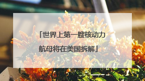 世界上第一艘核动力航母将在美国拆解