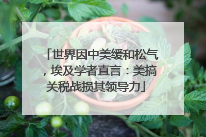 世界因中美缓和松气，埃及学者直言：美搞关税战损其领导力