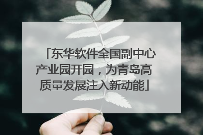 东华软件全国副中心产业园开园，为青岛高质量发展注入新动能