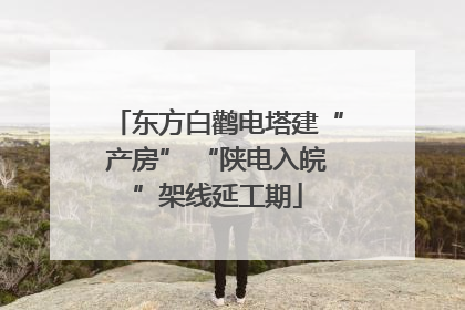 东方白鹳电塔建“产房” “陕电入皖”架线延工期