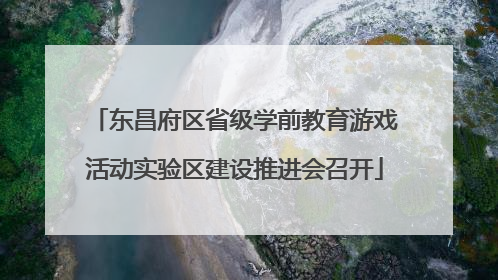 东昌府区省级学前教育游戏活动实验区建设推进会召开