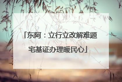 东阿：立行立改解难题 宅基证办理暖民心