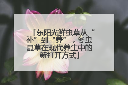 东阳光鲜虫草从“补”到“养”，冬虫夏草在现代养生中的新打开方式