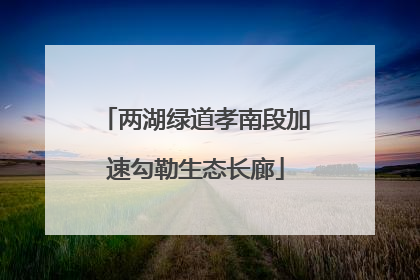 两湖绿道孝南段加速勾勒生态长廊