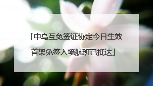 中乌互免签证协定今日生效 首架免签入境航班已抵达
