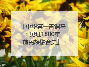 中华第一青铜马：见证1800年前民族融合史