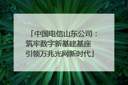 中国电信山东公司：筑牢数字新基建基座 引领万兆光网新时代