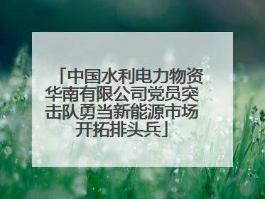 中国水利电力物资华南有限公司党员突击队勇当新能源市场开拓排头兵