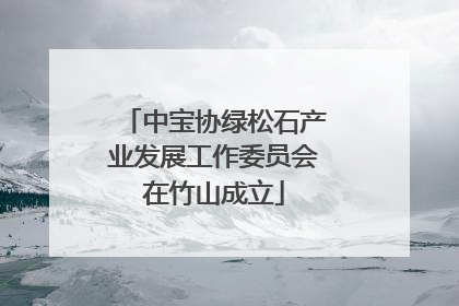 中宝协绿松石产业发展工作委员会在竹山成立
