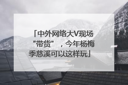 中外网络大V现场“带货”，今年杨梅季慈溪可以这样玩