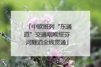 中欧班列“东通道”交通咽喉绥芬河隧道全线贯通