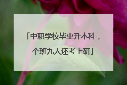 中职学校毕业升本科，一个班九人还考上研