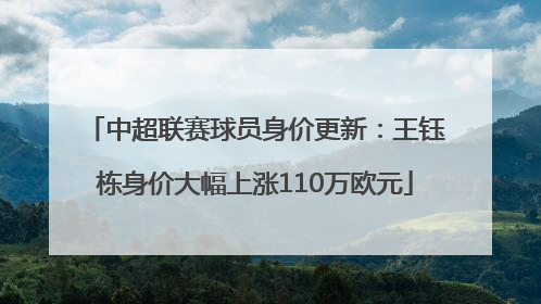 中超联赛球员身价更新：王钰栋身价大幅上涨110万欧元