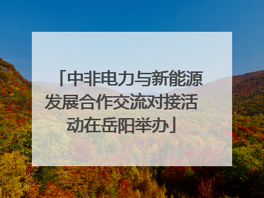 中非电力与新能源发展合作交流对接活动在岳阳举办