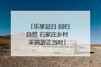 乐享夏日 回归自然 石家庄乡村采摘游正当时