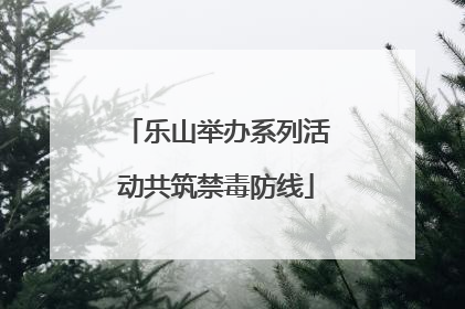 乐山举办系列活动共筑禁毒防线