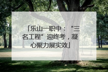 乐山一职中：“三名工程”迎终考，凝心聚力展实效