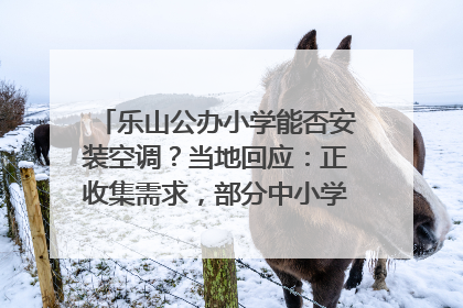 乐山公办小学能否安装空调？当地回应：正收集需求，部分中小学已启动安装｜云求助
