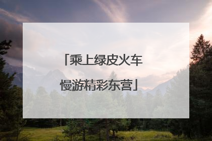 乘上绿皮火车 慢游精彩东营
