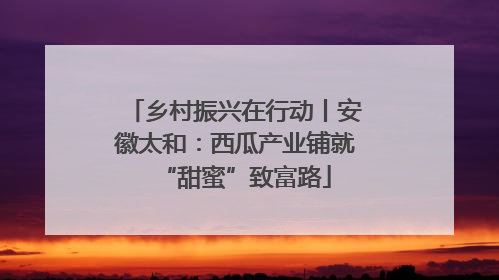 乡村振兴在行动丨安徽太和：西瓜产业铺就“甜蜜”致富路