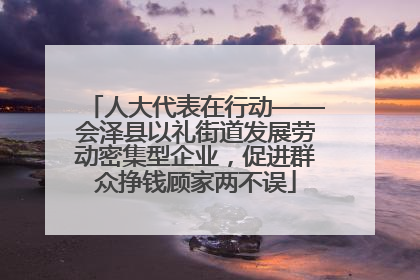 人大代表在行动——会泽县以礼街道发展劳动密集型企业，促进群众挣钱顾家两不误