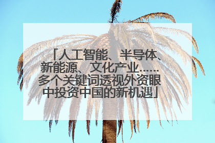 人工智能、半导体、新能源、文化产业……多个关键词透视外资眼中投资中国的新机遇