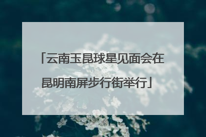 云南玉昆球星见面会在昆明南屏步行街举行