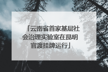 云南省首家基层社会治理实验室在昆明官渡挂牌运行