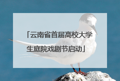 云南省首届高校大学生庭院戏剧节启动