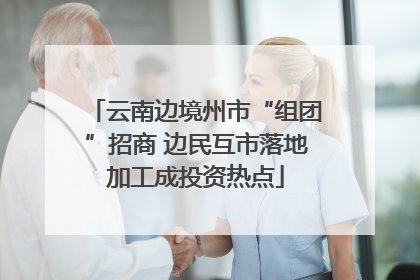 云南边境州市“组团”招商 边民互市落地加工成投资热点