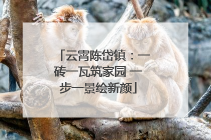 云霄陈岱镇：一砖一瓦筑家园 一步一景绘新颜