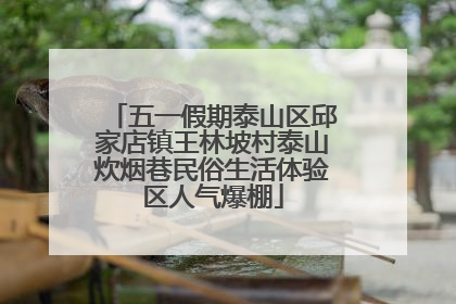 五一假期泰山区邱家店镇王林坡村泰山炊烟巷民俗生活体验区人气爆棚