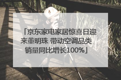 京东家电家居惊喜日迎来董明珠 带动空调品类销量同比增长100%