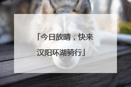 今日放晴，快来汉阳环湖骑行