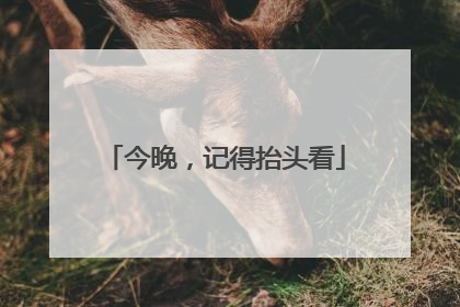 今晚，记得抬头看