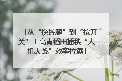 从“挽裤腿”到“按开关”！高青稻田插秧“人机大战”效率拉满