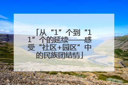 从“1”个到“11”个的延续——感受“社区+园区”中的民族团结情