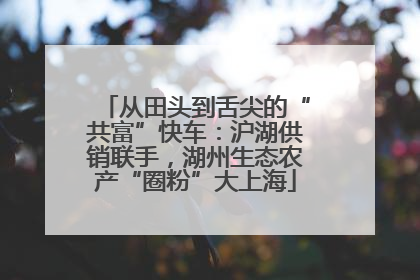 从田头到舌尖的“共富”快车：沪湖供销联手，湖州生态农产“圈粉”大上海