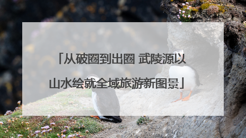 从破圈到出圈 武陵源以山水绘就全域旅游新图景