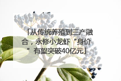 从传统养殖到三产融合，永修小龙虾“身价”有望突破40亿元