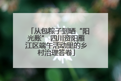 从包粽子到晒“阳光账” 四川资阳雁江区端午活动里的乡村治理答卷