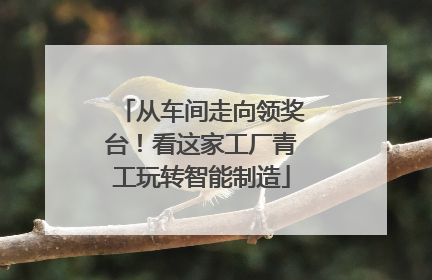 从车间走向领奖台！看这家工厂青工玩转智能制造