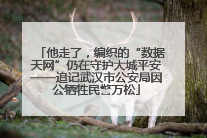 他走了，编织的“数据天网”仍在守护大城平安——追记武汉市公安局因公牺牲民警万松