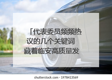 代表委员频频热议的几个关键词 藏着临安高质量发展的密码