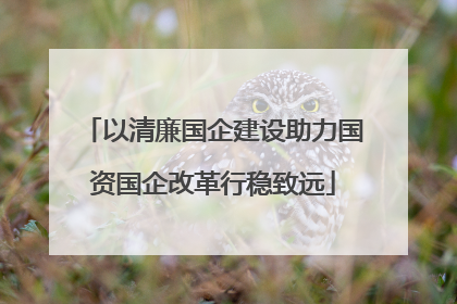 以清廉国企建设助力国资国企改革行稳致远