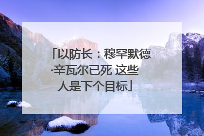 以防长：穆罕默德·辛瓦尔已死 这些人是下个目标