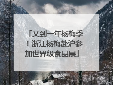 又到一年杨梅季！浙江杨梅赴沪参加世界级食品展