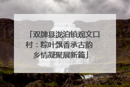 双牌县泷泊镇观文口村：粽叶飘香承古韵 乡情凝聚展新篇